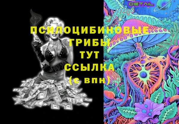дурь Магас