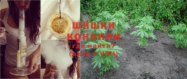 сатива Лихославль